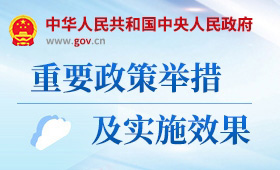 重要政策举措及实施效果